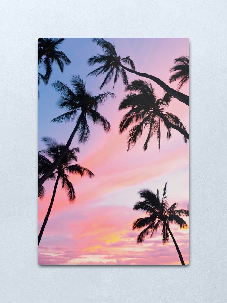 Home Decor Home Decor Posters Prints Sunset On The Beach With Palm Trees Of Caribbean Sea 16 X 24 Canvas Wall Art