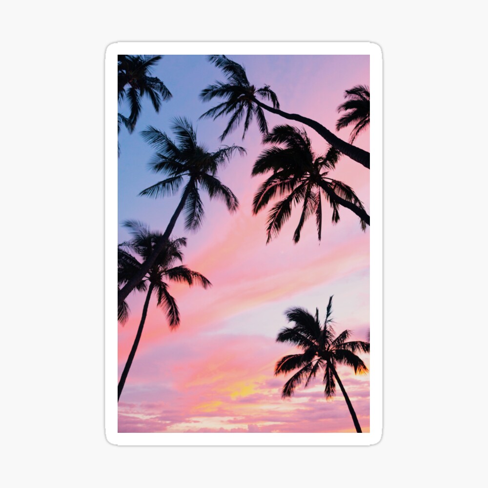 Pink Sunset Palm Trees Poster for Sale by newburyboutique