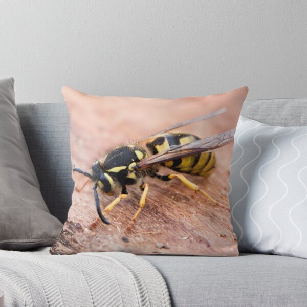 Item preview, Sleepy Wasp designed and sold by Elysian Photography.