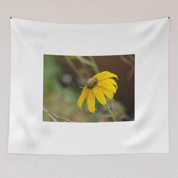 Item preview, Yellow Rudbeckia Flower Black Eyed Susan designed and sold by abacoian.