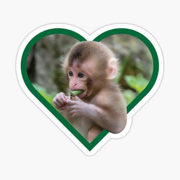 Item preview, Favorite Animals- Baby Monkey designed and sold by oohkissykissy.