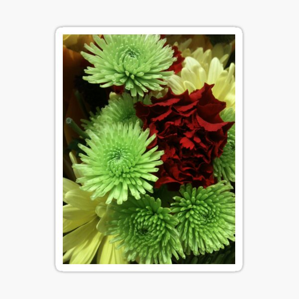 Item preview, Red and Green Flower Bouquet designed and sold by silverdragon.