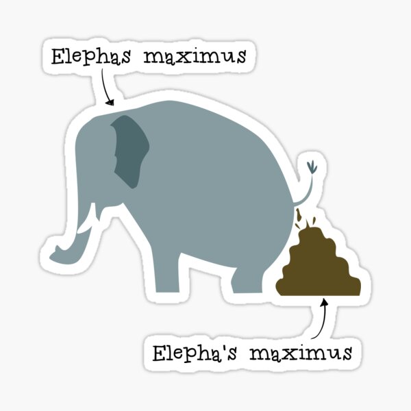 Elephas maximus Sticker