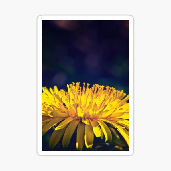 Dandelion Glow Sticker