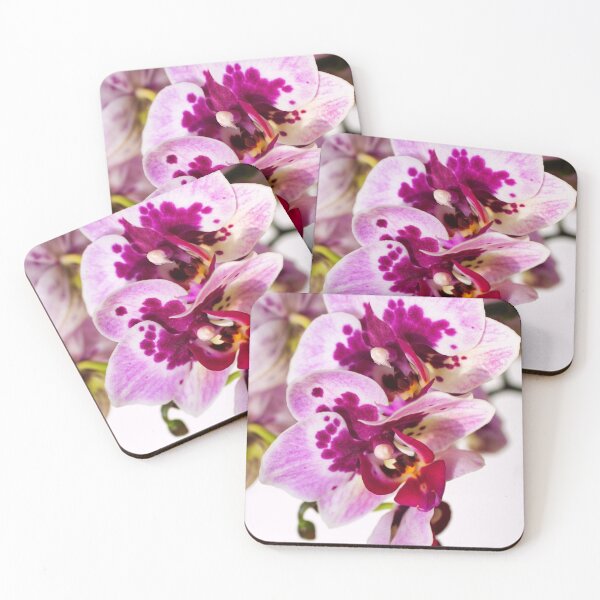 Item preview, Orchid Duett designed and sold by Kasia Design.