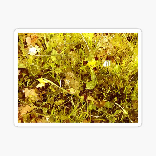 Item preview, Lawn and orchids designed and sold by Giuseppe Cocco.