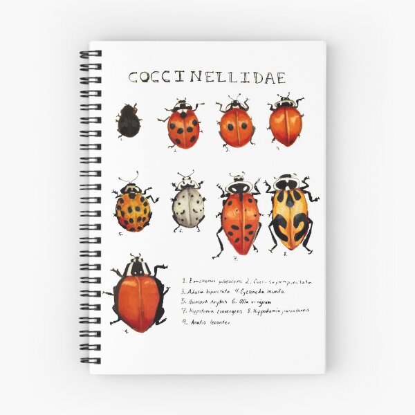 Item preview, Coccinellidae  designed and sold by Alan Smith-Daigle.