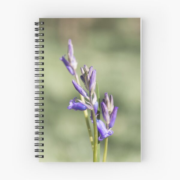 Item preview, Bluebells designed and sold by JEZ22.