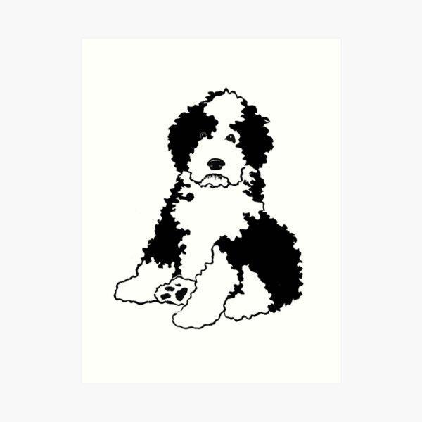 Sheepadoodle Dog Breed Art Print