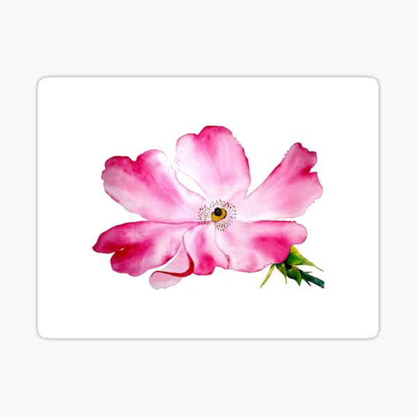 Vista previa del artículo con la obra «Flor de rosa mosqueta», diseñado y vendido por AgnesDieuzeide.