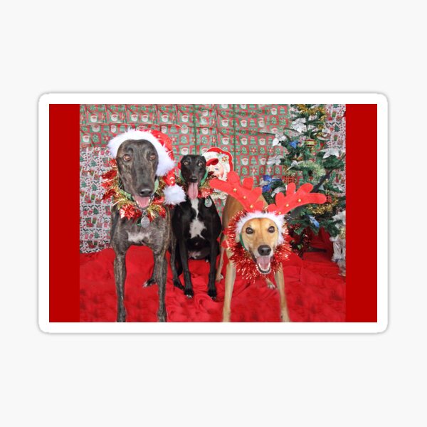 Christmas Joy Sticker