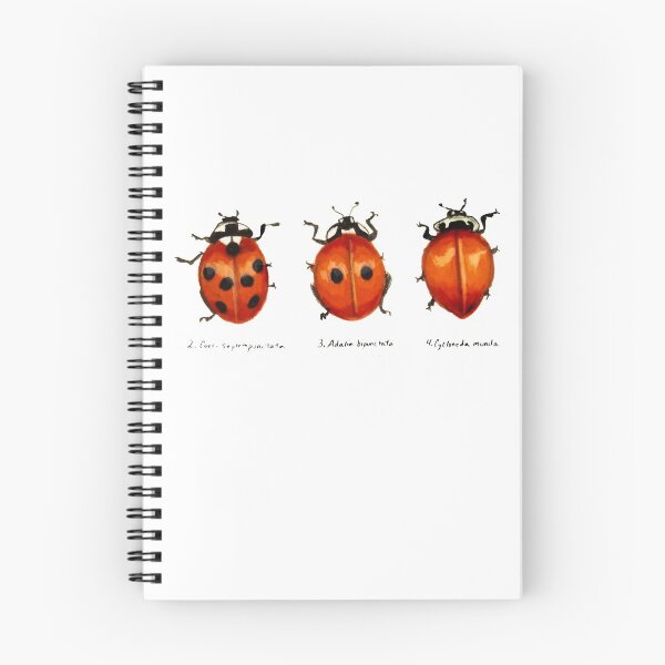 Item preview, Lady beetle design designed and sold by Alan Smith-Daigle.