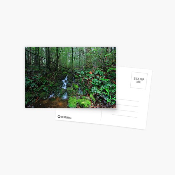 Dee River Cascade Postcard