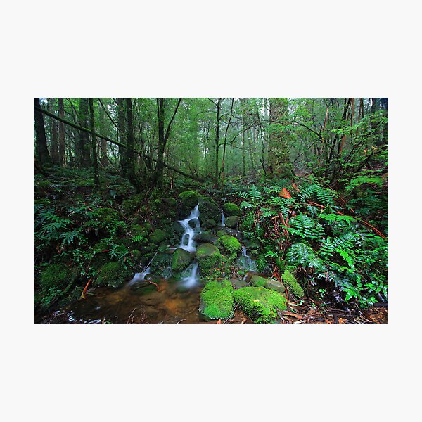 Item preview, Dee River Cascade designed and sold by Donovan Wilson.