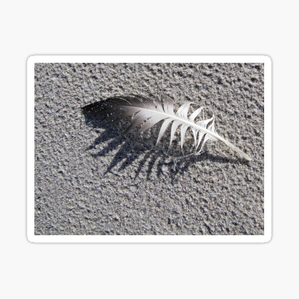Item preview, Feather on the shore designed and sold by BiodiversityRocks.