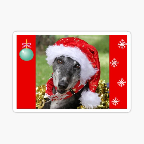 Christmas Joy Sticker
