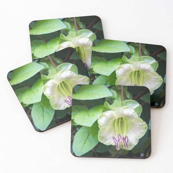 Item preview, Blooming Liana - a Singular Exotic Flower designed and sold by Georgia Mizuleva.