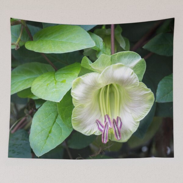 Item preview, Blooming Liana - a Singular Exotic Flower designed and sold by Georgia Mizuleva.