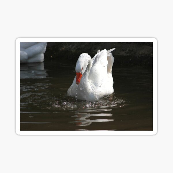 Angry goose Sticker