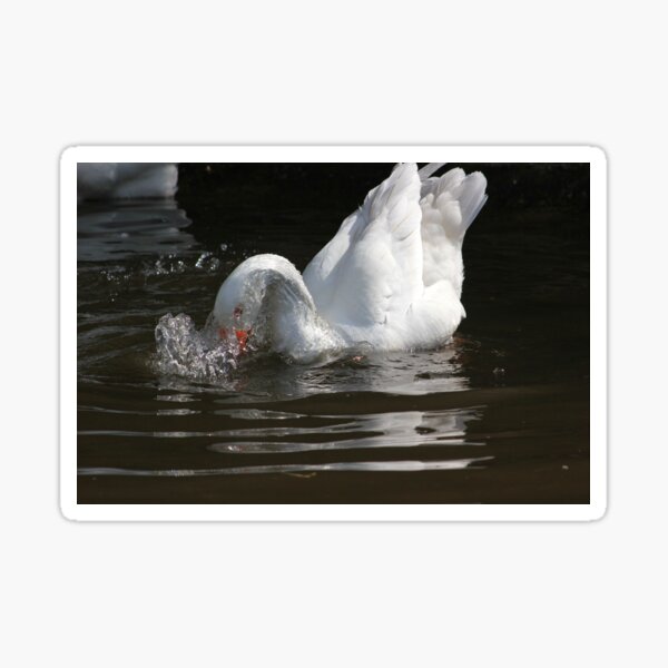 Goose wash Sticker