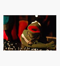 Kermit Photographic Print