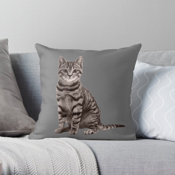 Grey Tabby Cat Throw Pillow