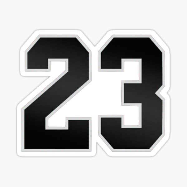 23 jordan logo
