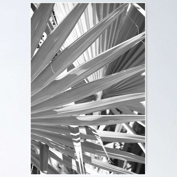 Item preview, Black & White Palm Leaf designed and sold by AlexKokas.