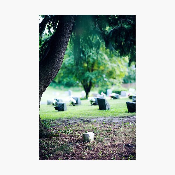 Item preview, Lake View Sanatorium Cemetery 2 designed and sold by emilywayland.