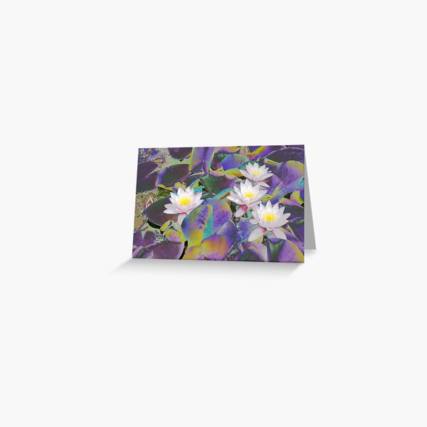 Rainbow Lotus Greeting Card