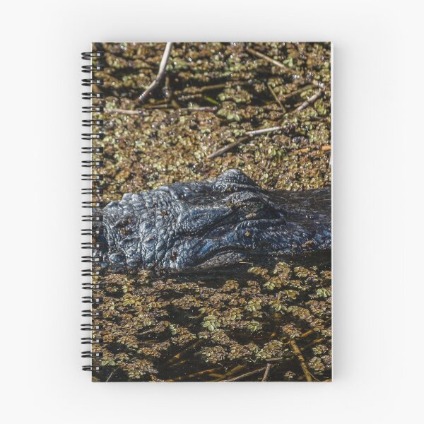 Item preview, Stealthy designed and sold by John  Kapusta.