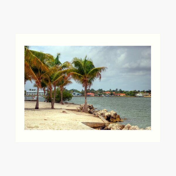 Miami Shores Art Print
