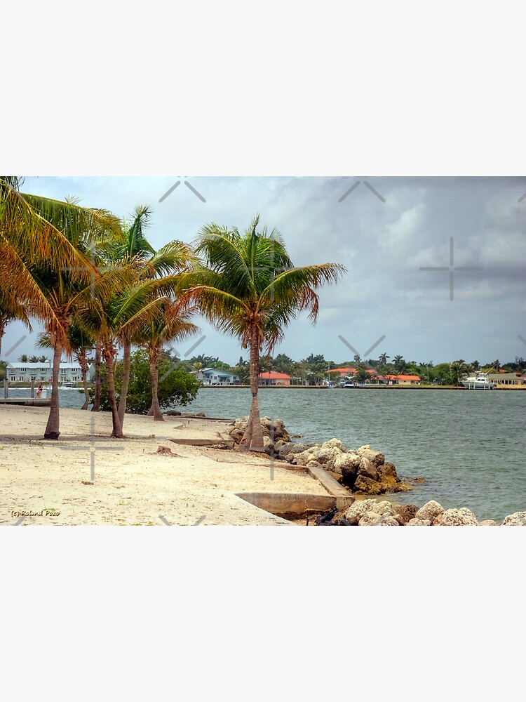 Miami Shores by photorolandi