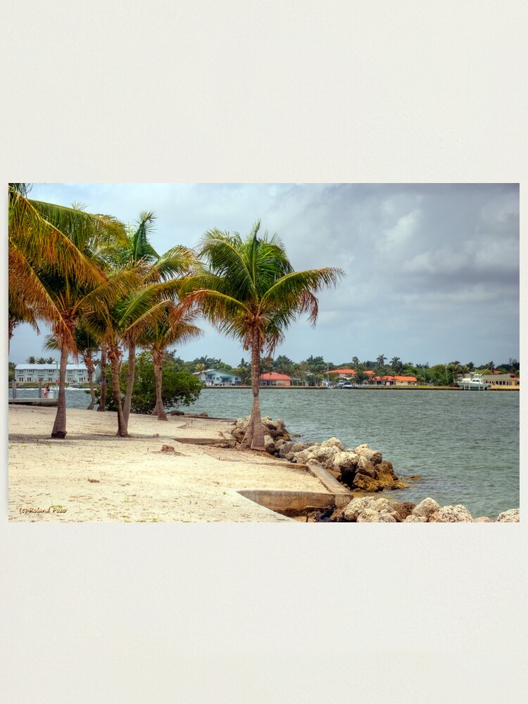 Alternate view of Miami Shores Photographic Print