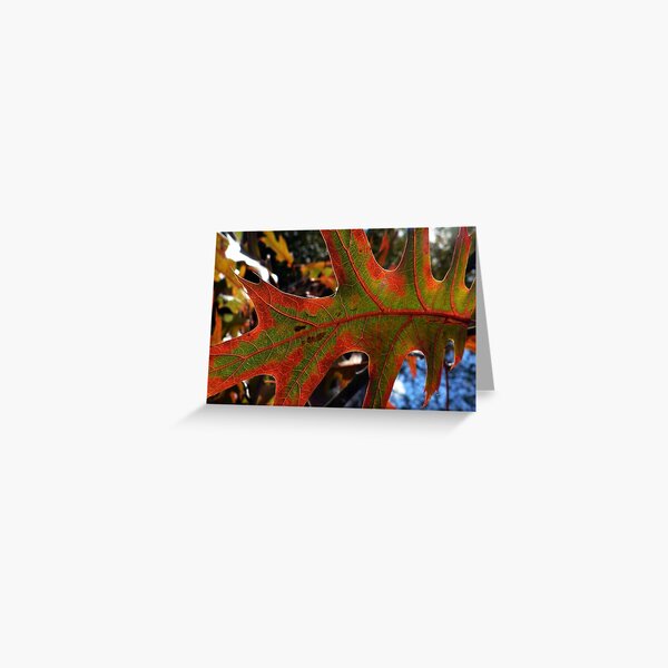 Item preview, Autumn Leaves - Quercus Coccinea designed and sold by Adrian S. Lock.
