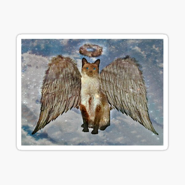 Do Cats Have Guardian Angels? Sticker