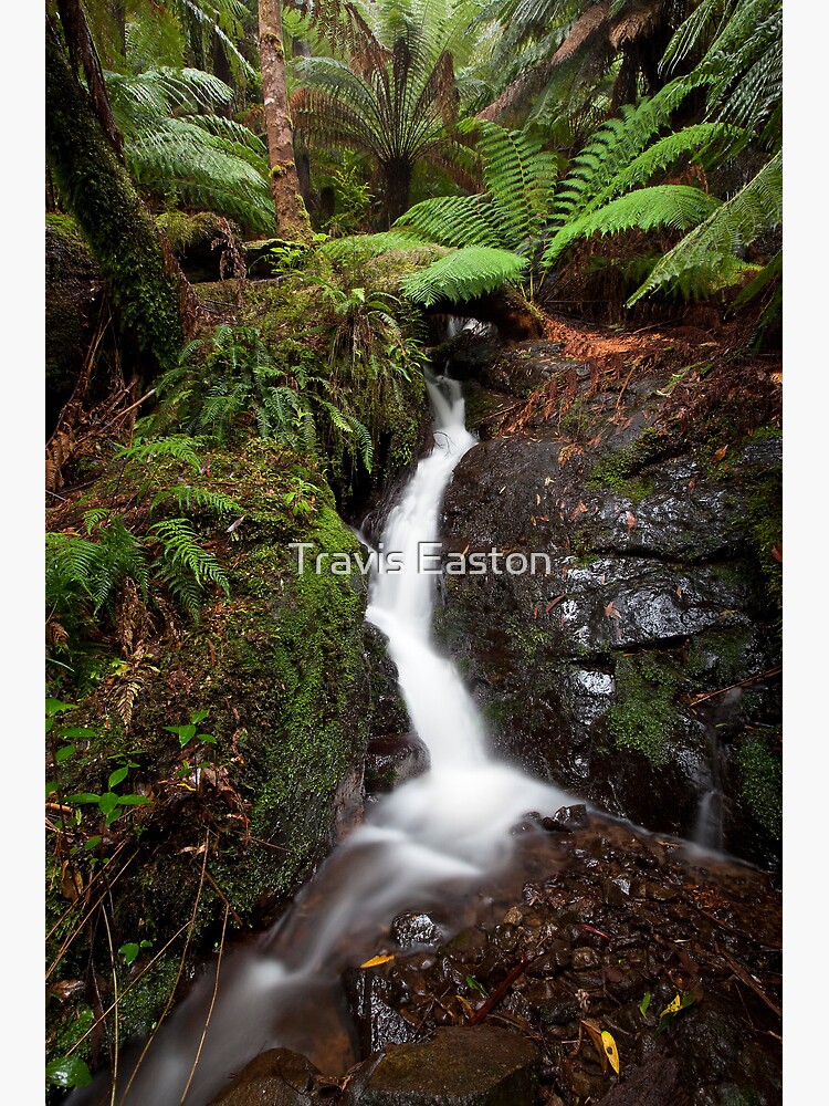 Thumbnail 2 of 2, Greeting Card, Platts Falls designed and sold by TravisEaston.