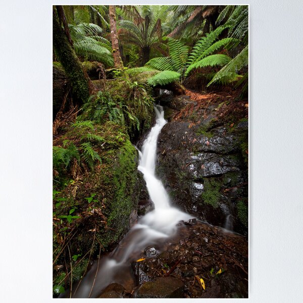 Item preview, Platts Falls designed and sold by Travis Easton.