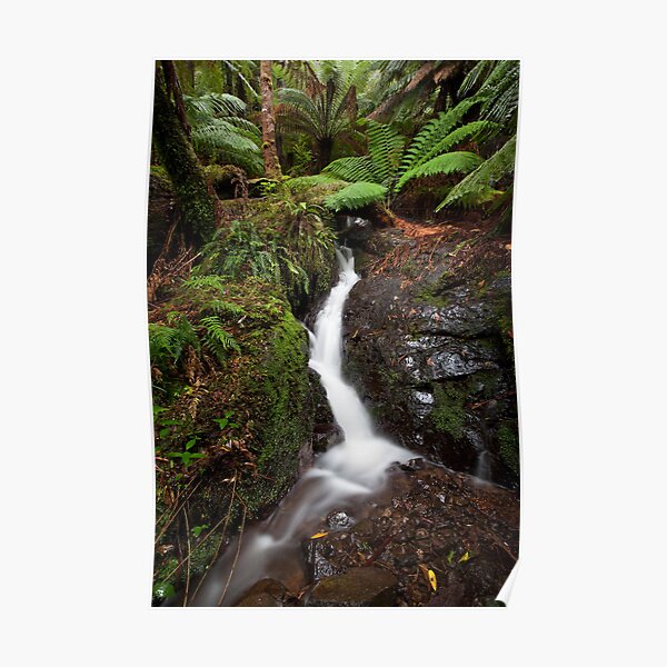 Platts Falls Poster