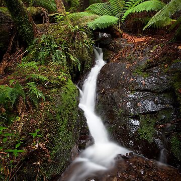 Artwork thumbnail, Platts Falls by Travis Easton