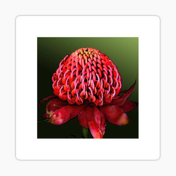 Item preview, big red designed and sold by Trish Hart.