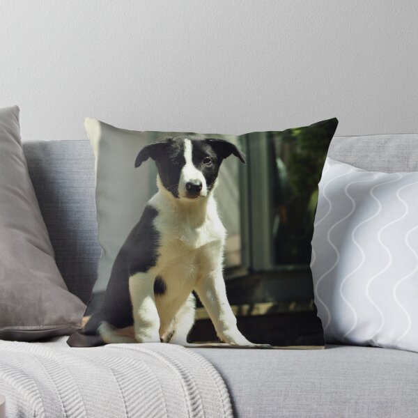 Item preview, Jasper designed and sold by Russell Couch.