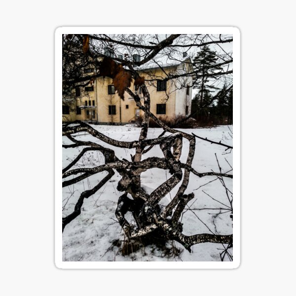 Abandoned Institution & Twisted Tree Sticker