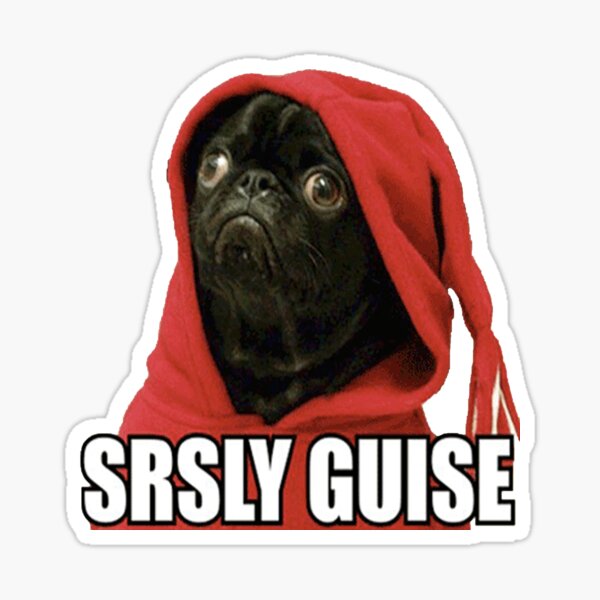 New trending GIF tagged dog meme pun via…