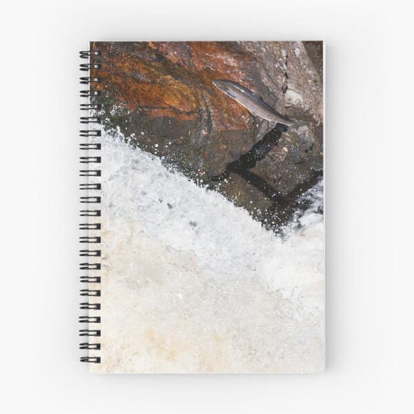Item preview, Copy of Copy of leaping Atlantic salmon designed and sold by chanonry.