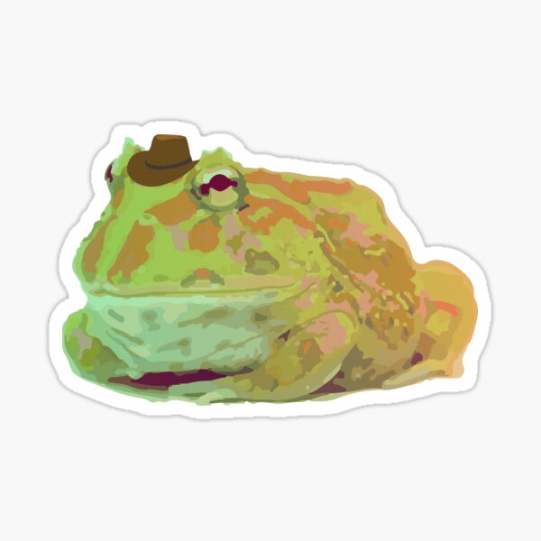 rainbow pacman frog
