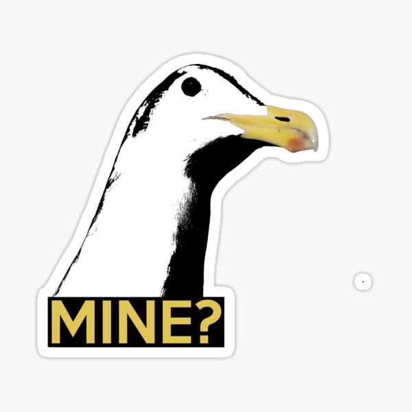 Seagulls say "Mine?" Sticker