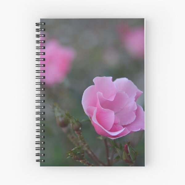 Item preview, Pink roses designed and sold by James  Kerr.