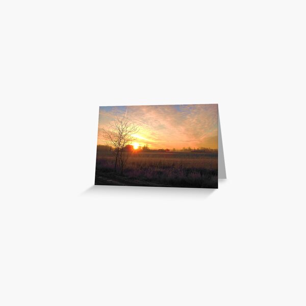 Early Morning Dream Greeting Card