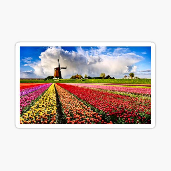 BULBS FIELDS Sticker